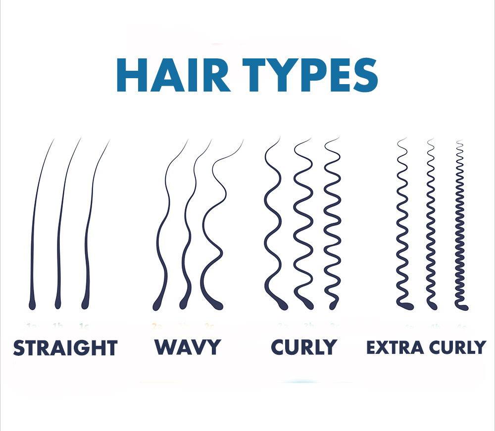 Straight, wavy, curly, extra curly hair types