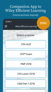 Wiley Efficient Learning